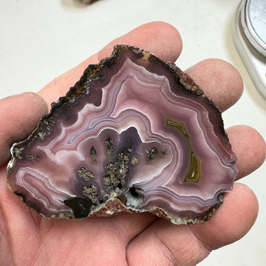 AGUA NUEVA AGATE Polished Specimen