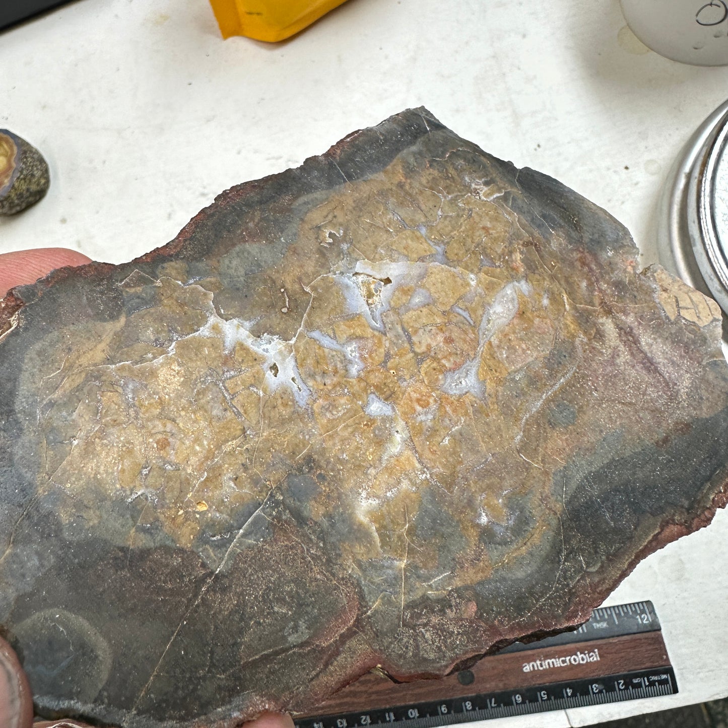 DRY CREEK JASPER Slab - 235 grams