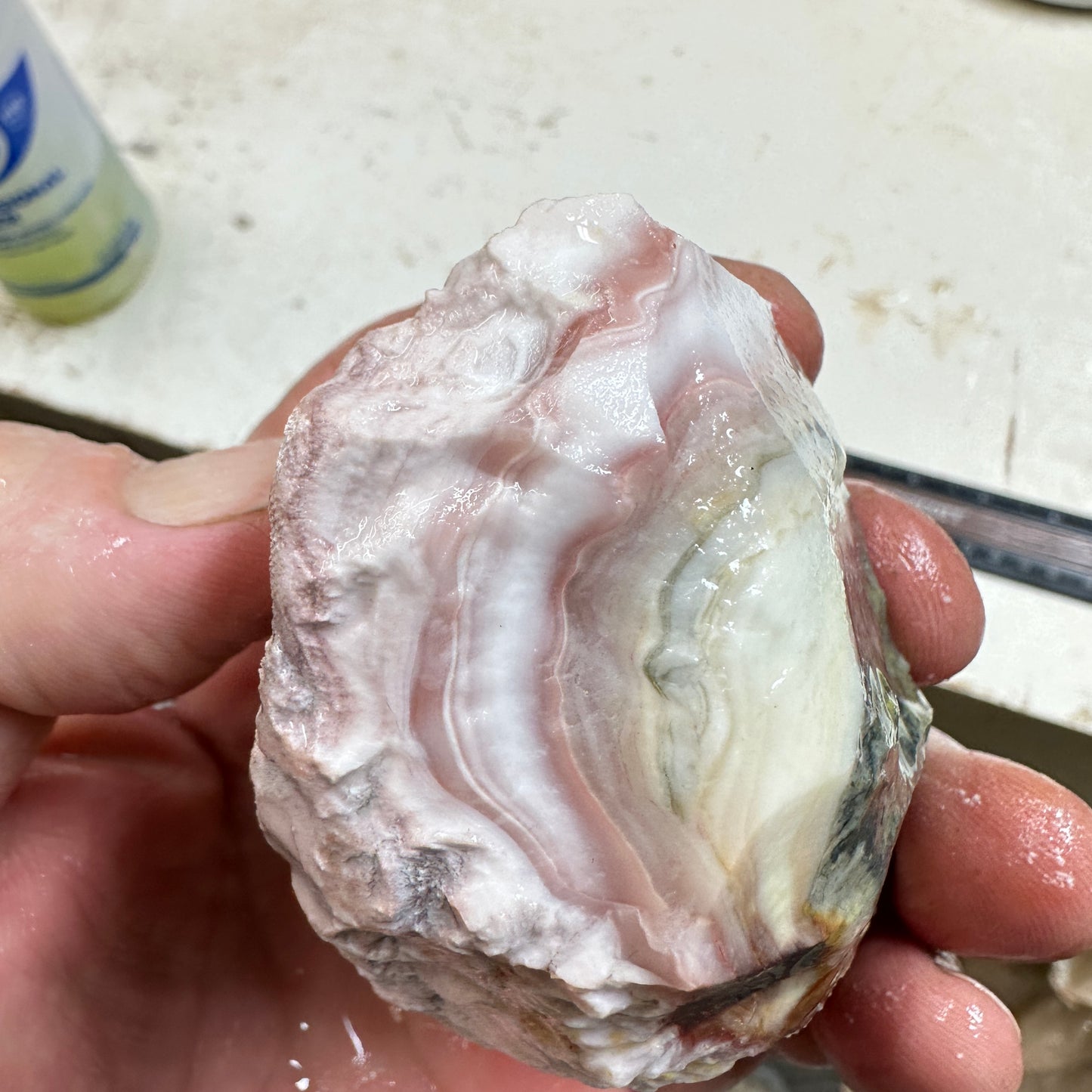 WINDY MOUNTAIN AGATE Rough - 0.70 Pounds