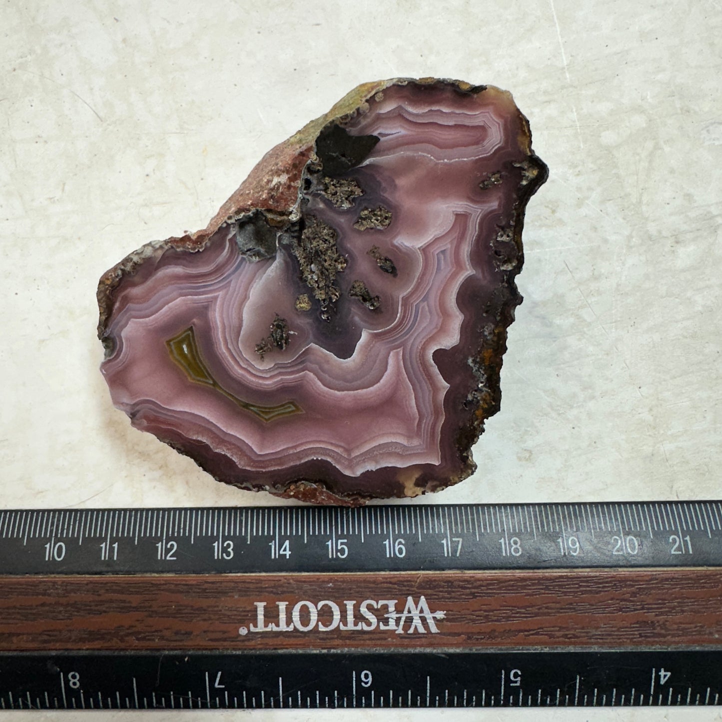 AGUA NUEVA AGATE Polished Specimen