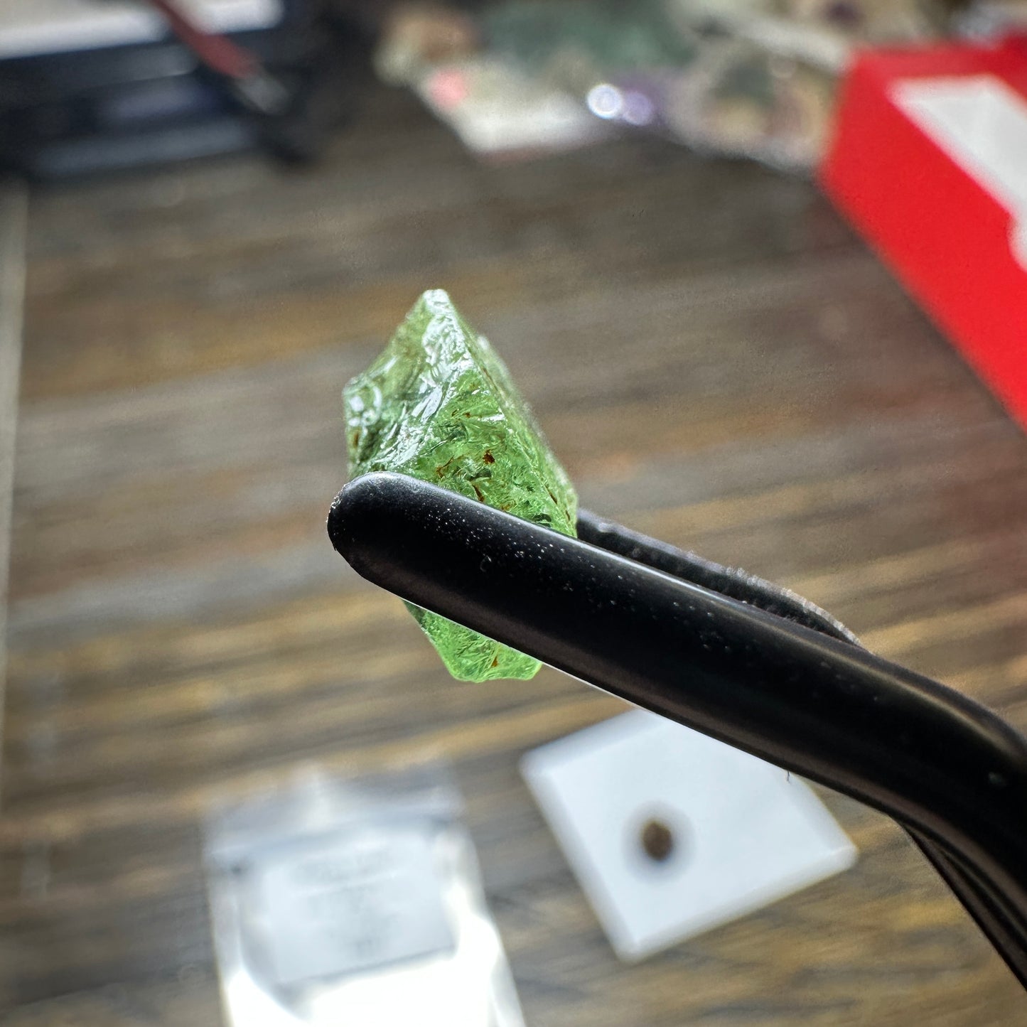 9.16ct GREEN DRAGON GARNET Facet Rough