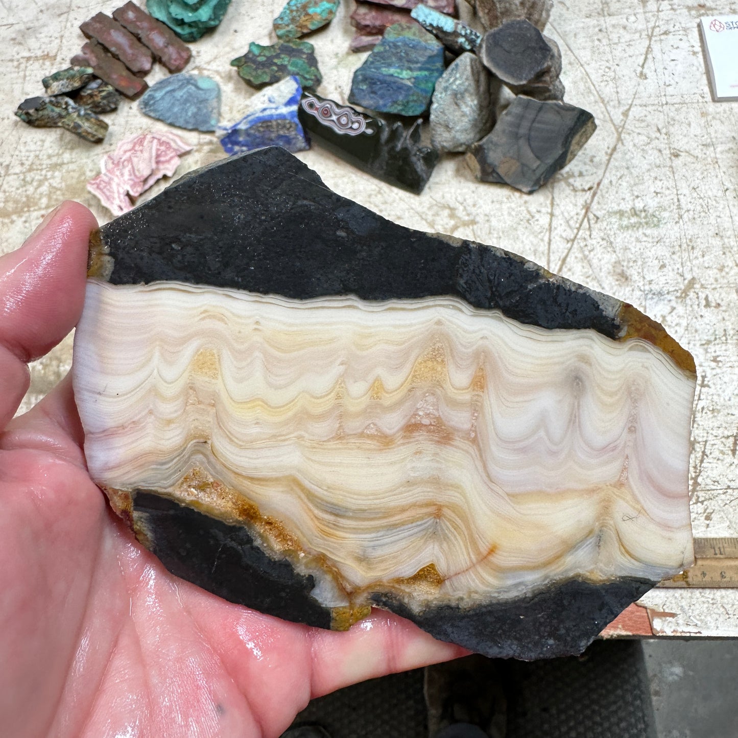 WINDY MOUNTAIN JASPER Slab - 207  grams