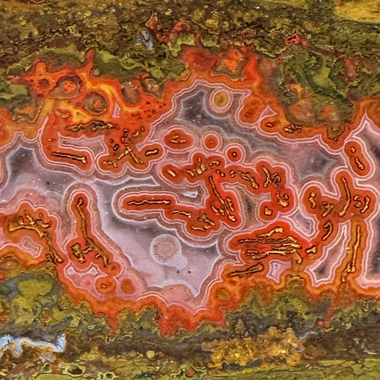 MOROCCAN SEAM AGATE Faced Rough - 1.25 Pounds