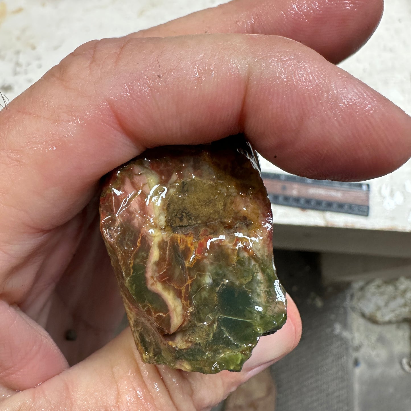 MORRISONITE JASPER Faced Rough - 0.40 Pounds