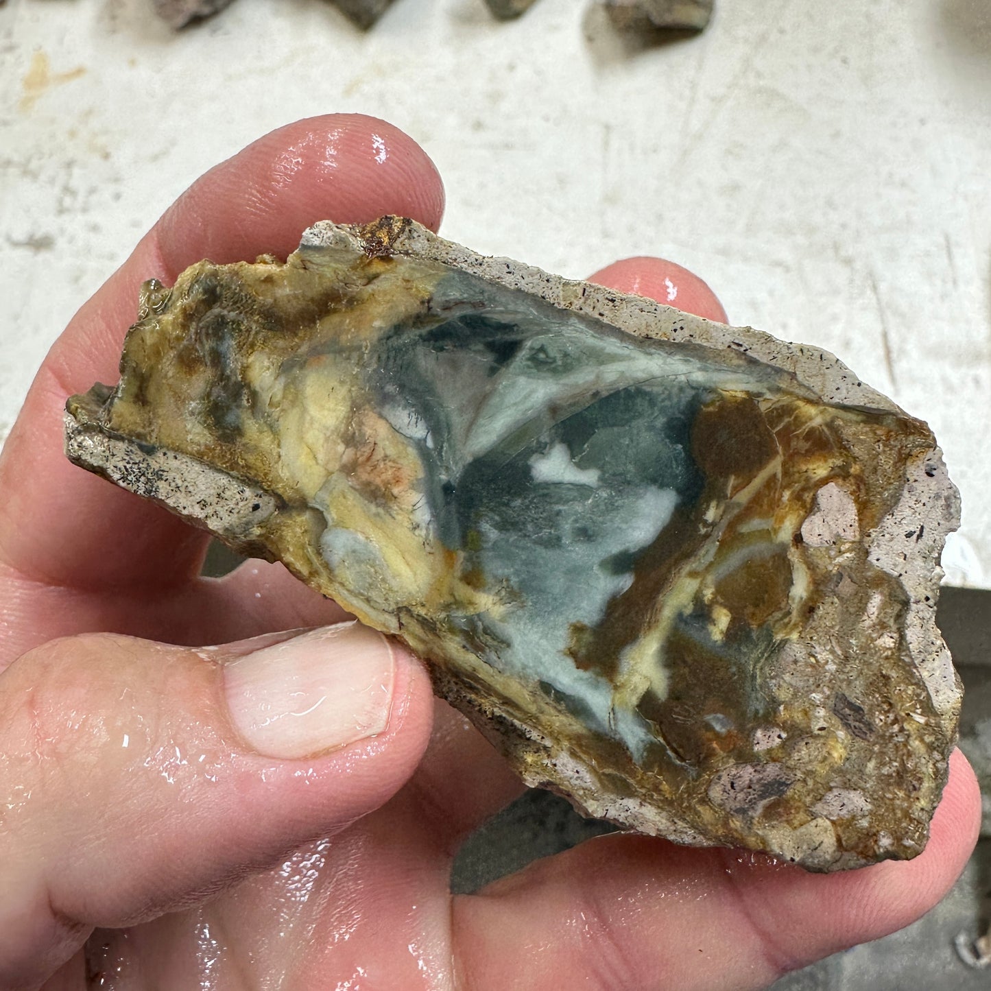 MORRISONITE JASPER Faced Rough - 0.49 Pounds