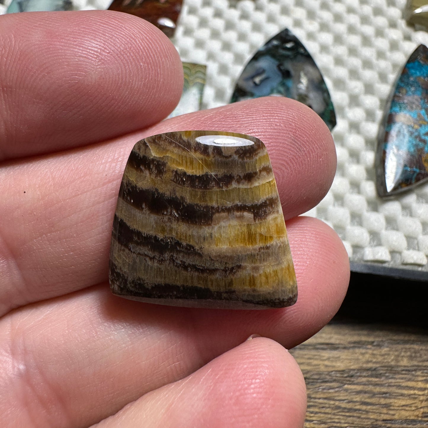 PETRIFIED WOOD cabochon