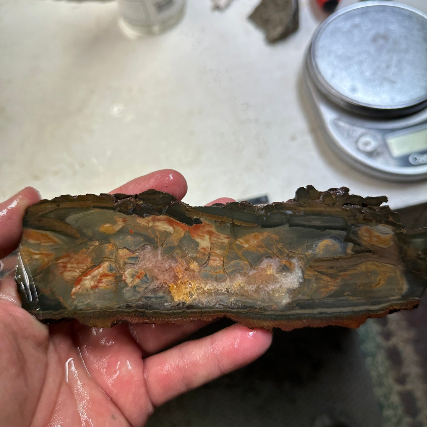 DRY CREEK JASPER Slab - 204 grams