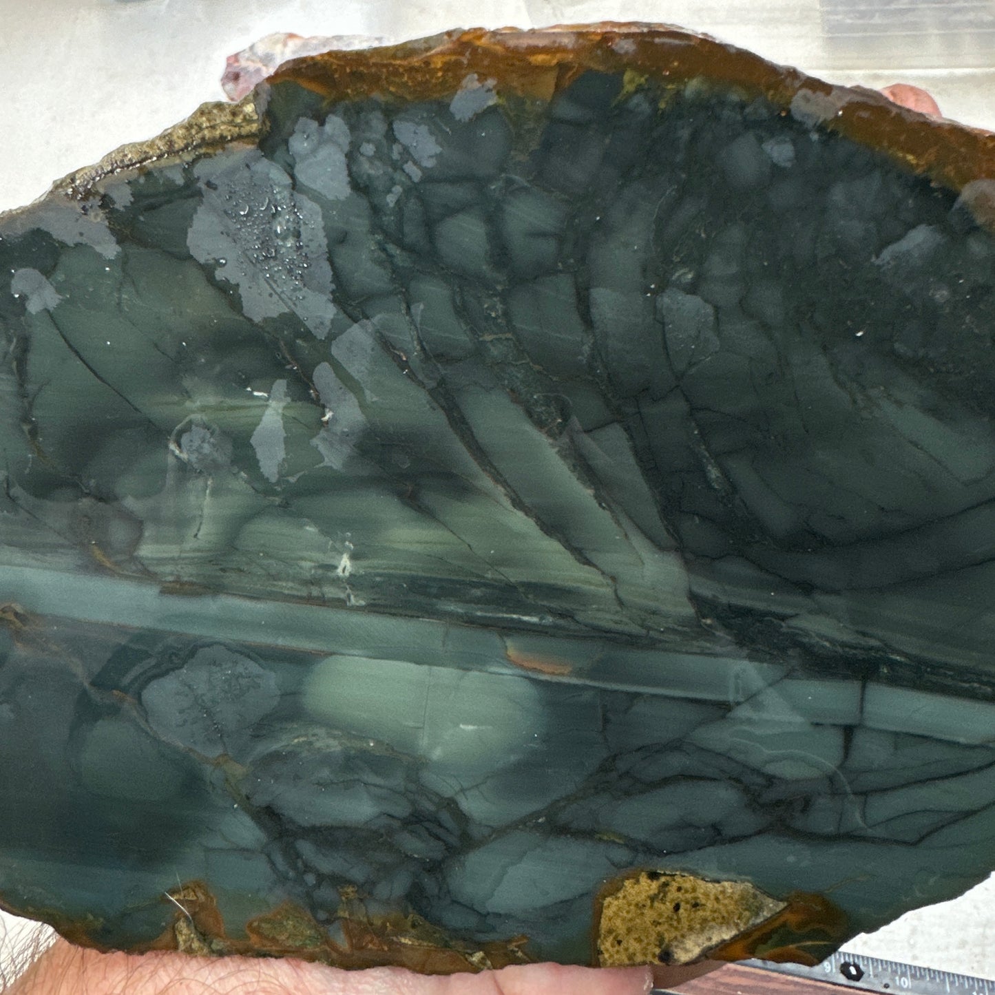 BLUE MOUNTAIN JASPER Slab - 277 grams