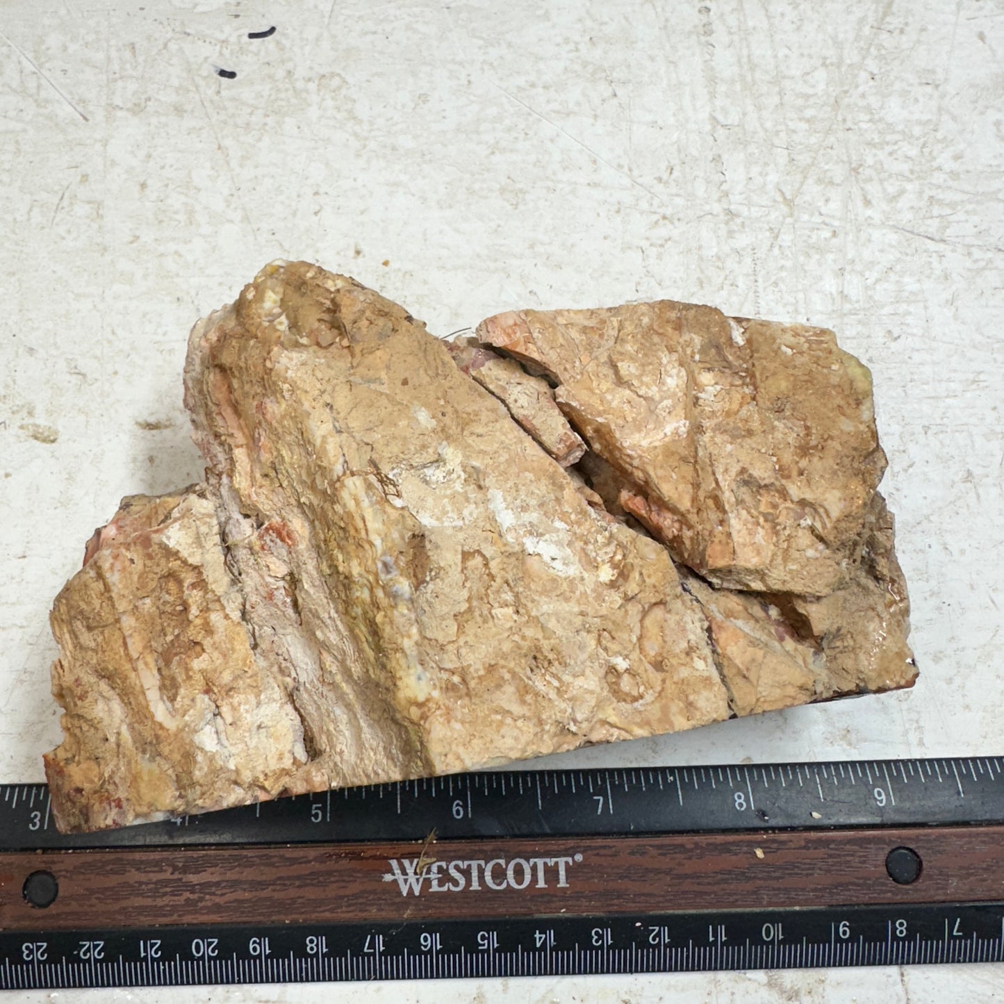 Red HOWARDITE Faced Rough - 17.0ozs