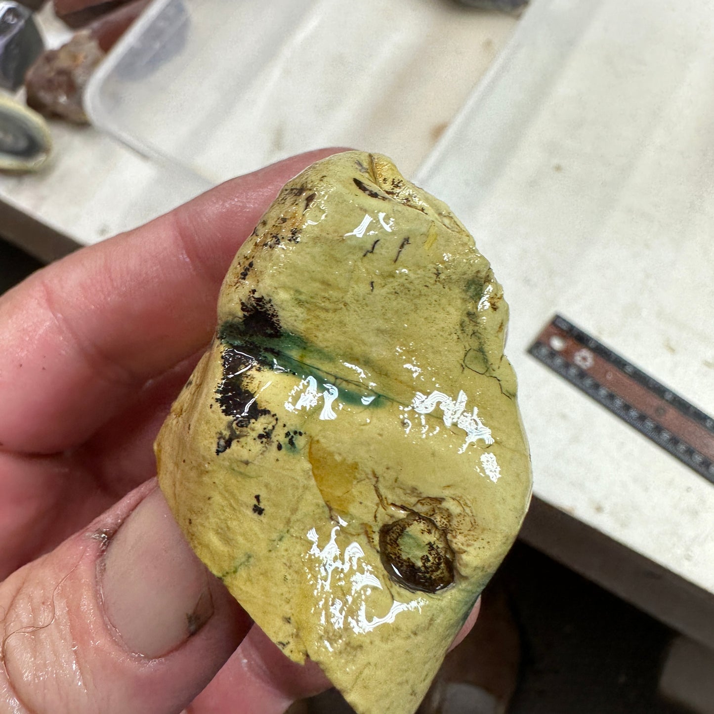 ROYAL IMPERIAL JASPER Faced Rough - 0.35 Pounds