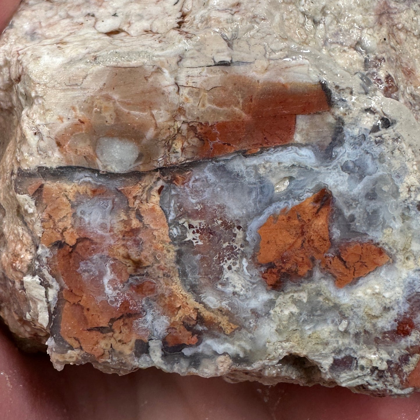 TIFFANY STONE Rough - 1.34 Pounds