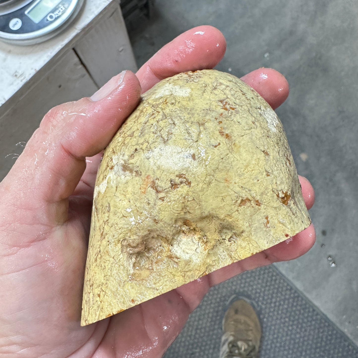 MISTY MOUNTAIN JASPER Faced Rough - 1.54 Pounds