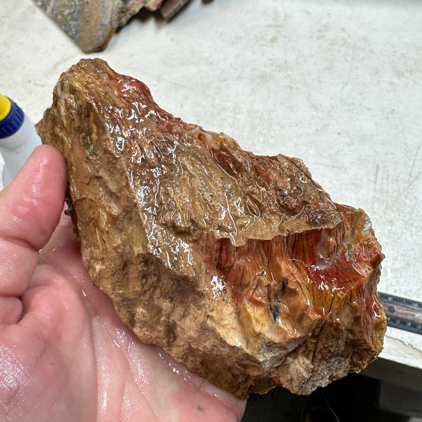 Red HOWARDITE Faced Rough - 19.8ozs