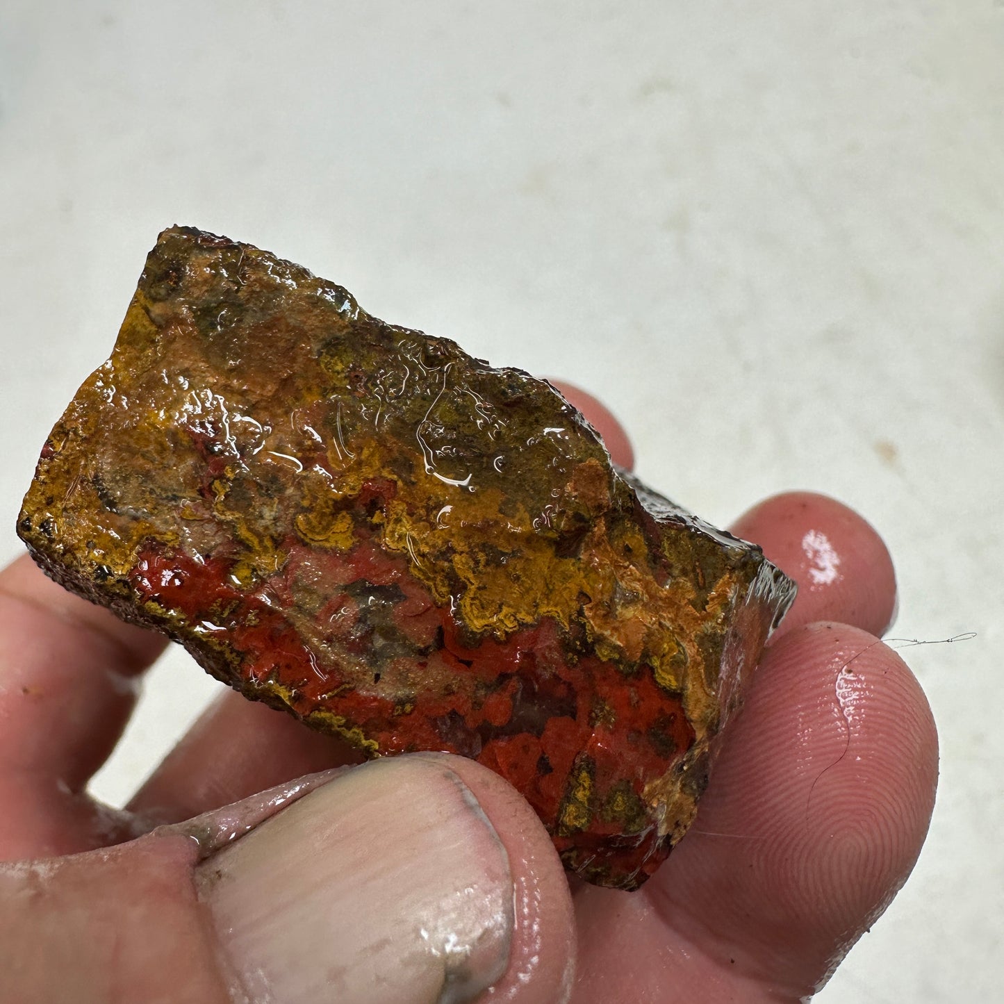 MOROCCAN SEAM AGATE Rough - 0.49 Pounds