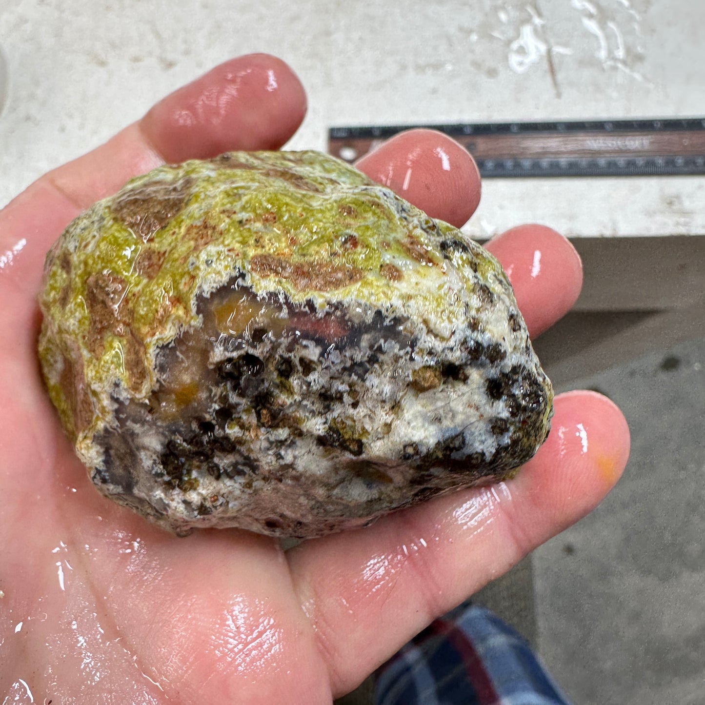 AGUA NUEVA AGATE Rough - 0.53 Pounds