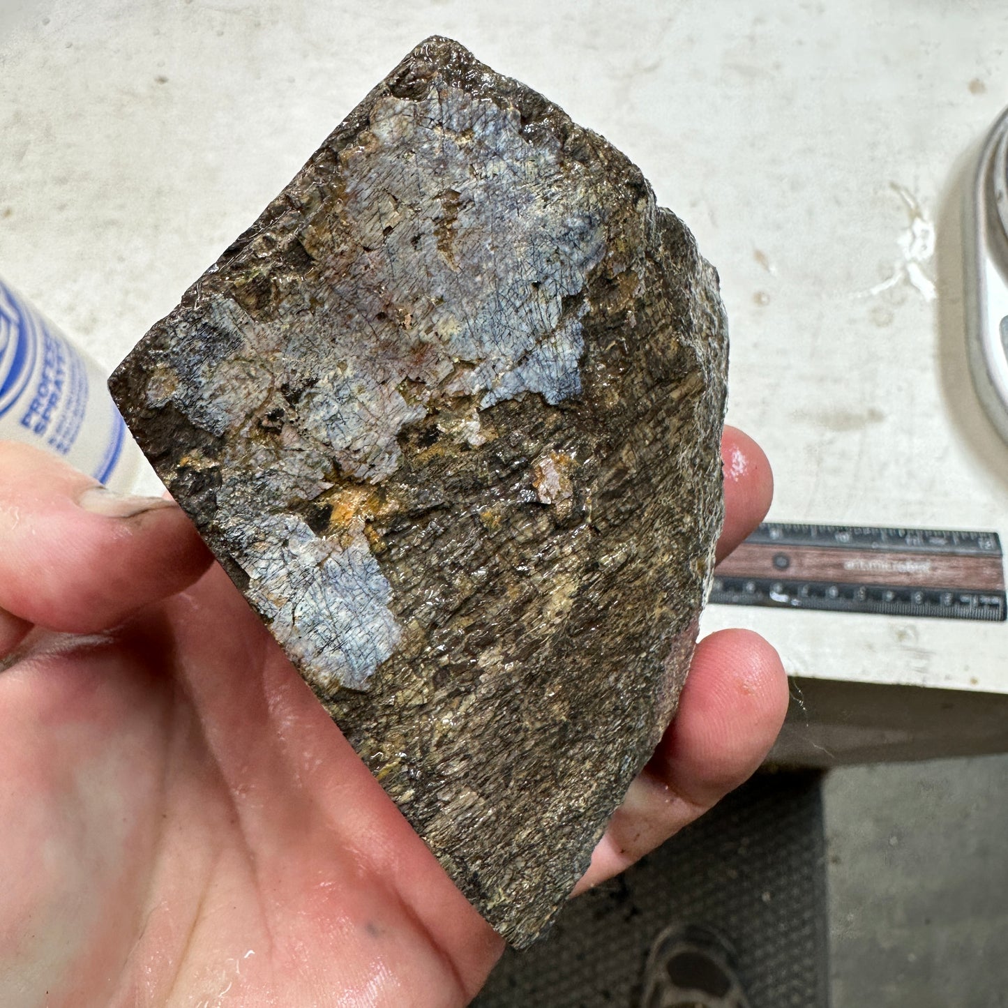 GEMBONE Dinosaur Bone Faced Rough - 2.11 Pounds