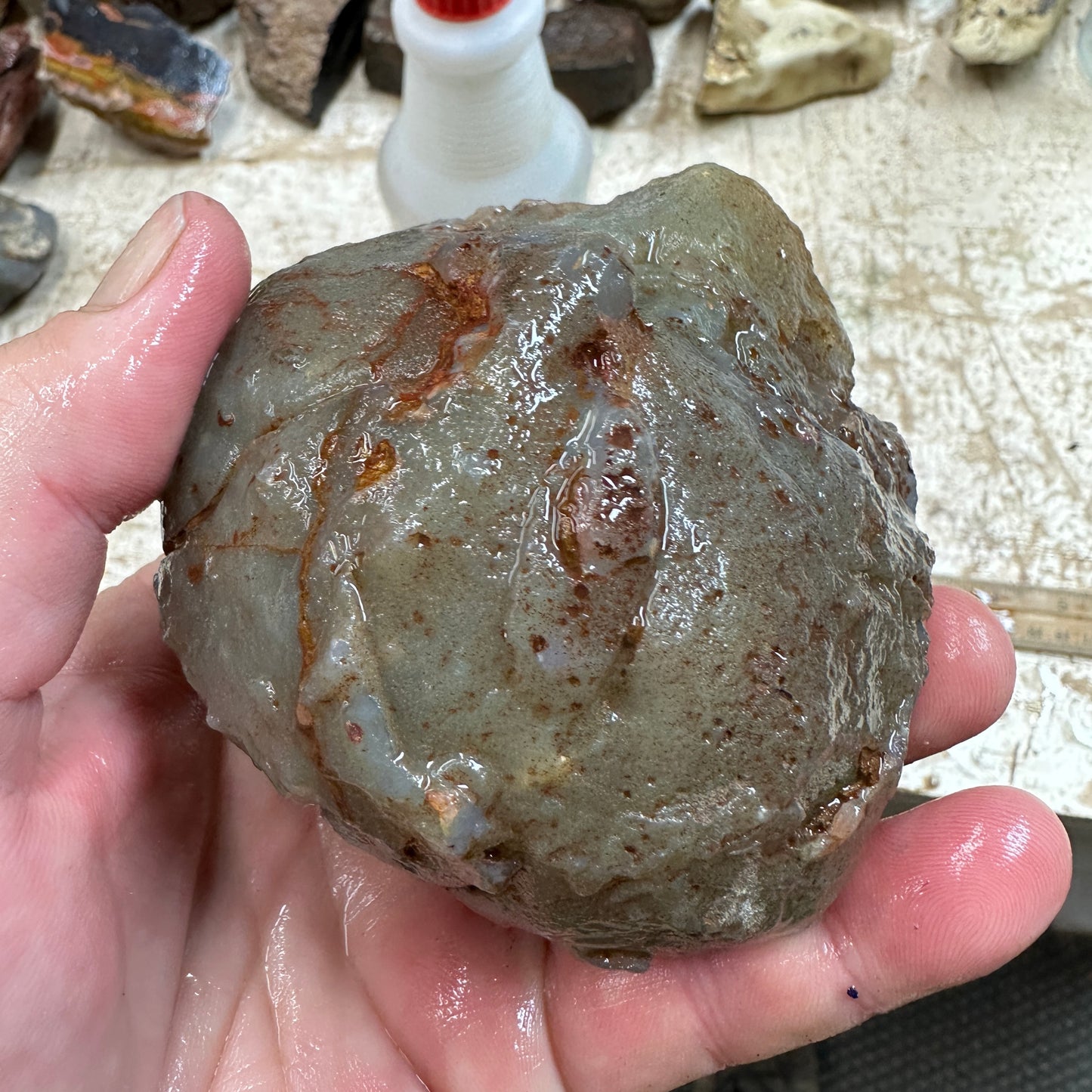 SWAZI ROSE AGATE Rough - 1.49 Pounds