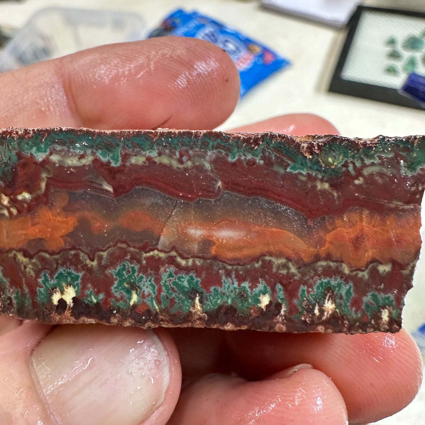 IDAHO WILDFIRE PLUME AGATE Faced Rough - 3.49oz