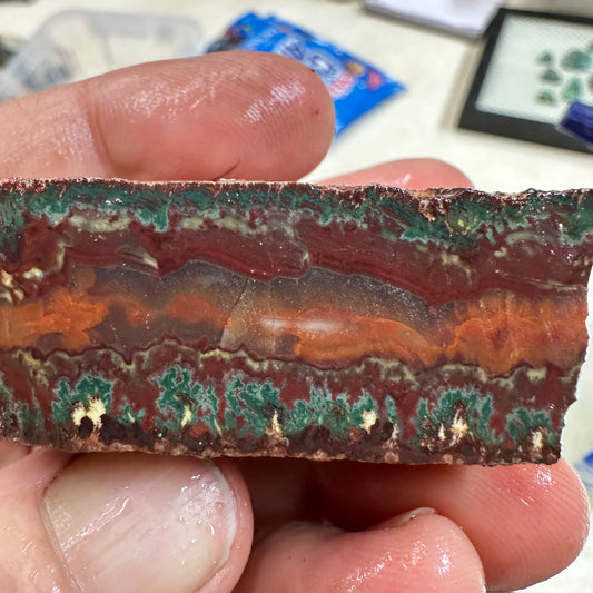 IDAHO WILDFIRE PLUME AGATE Faced Rough - 3.49oz