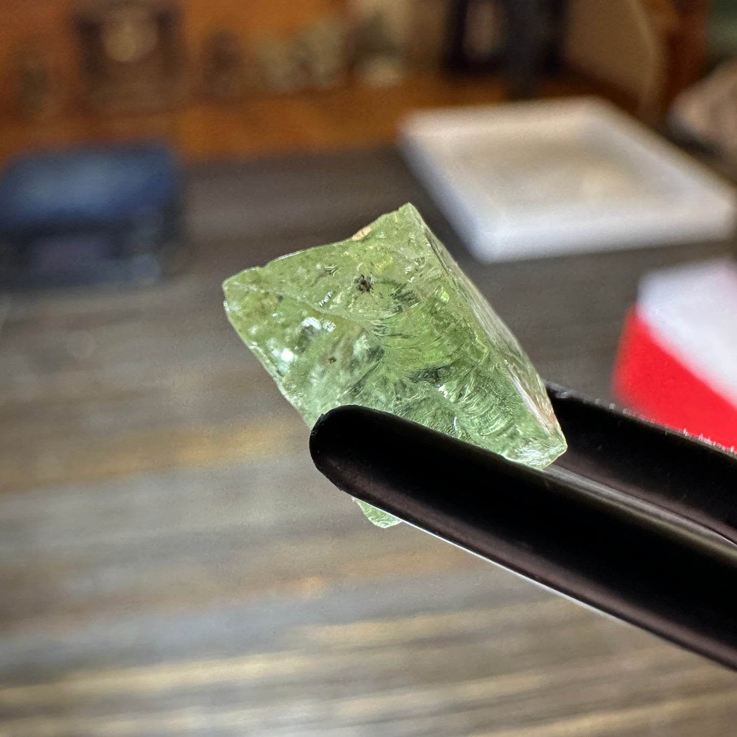 7.82ct GREEN DRAGON GARNET Facet Rough