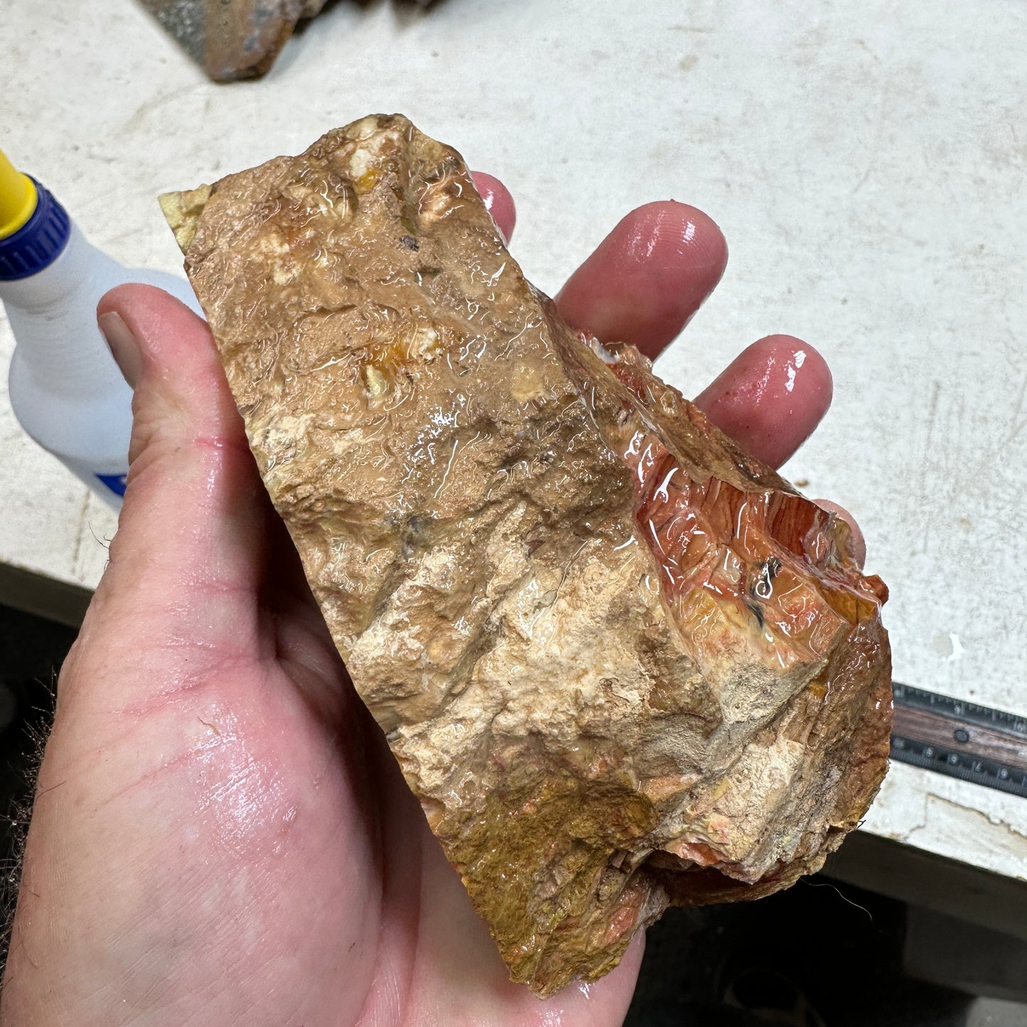 Red HOWARDITE Faced Rough - 19.8ozs