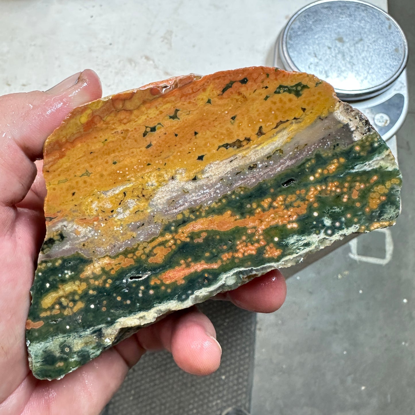 OCEAN JASPER Faced Rough - 1.63 Pounds