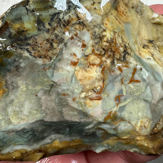 MORRISONITE JASPER Rough - 0.56 Pounds