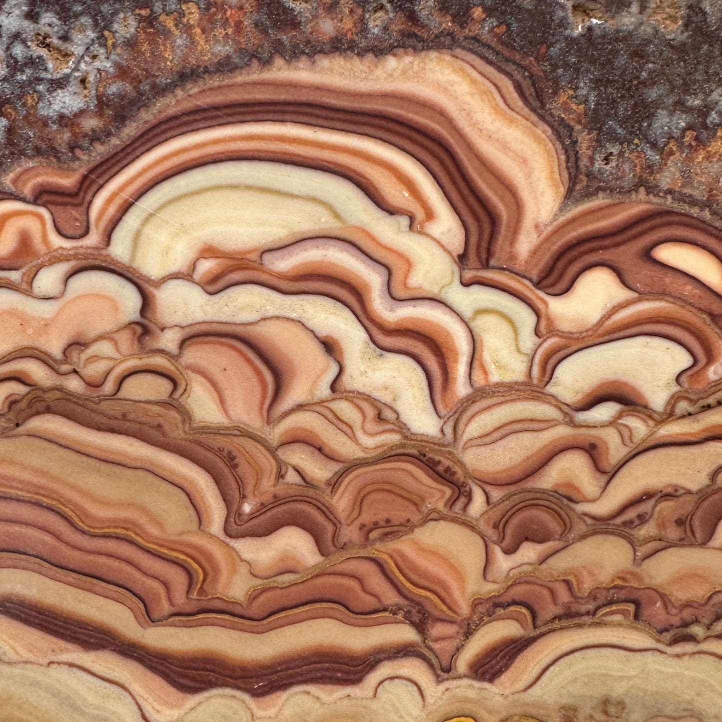ROLLING HILLS DOLOMITE Slab - 309 grams