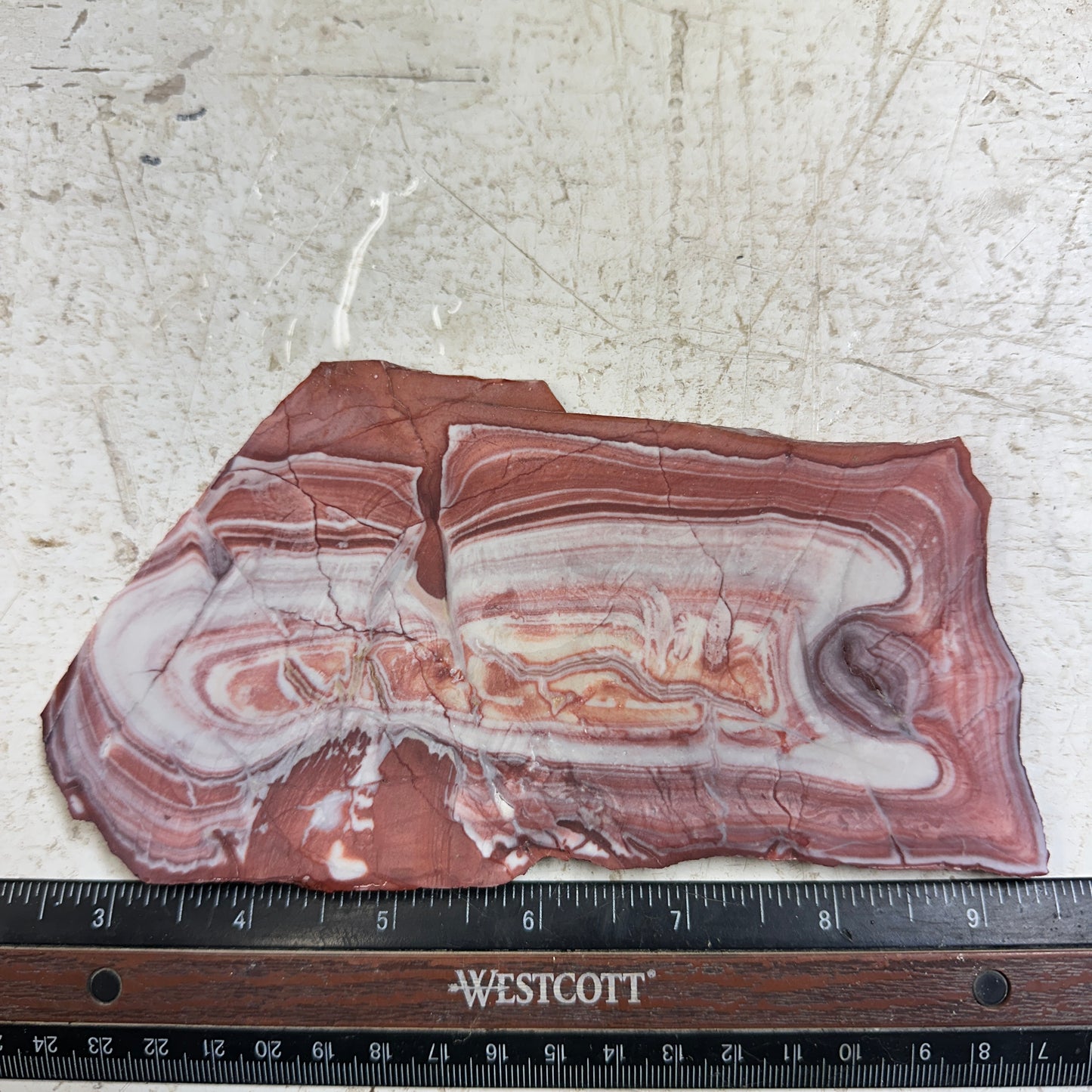 WINDY MOUNTAIN JASPER Slab - 205 grams