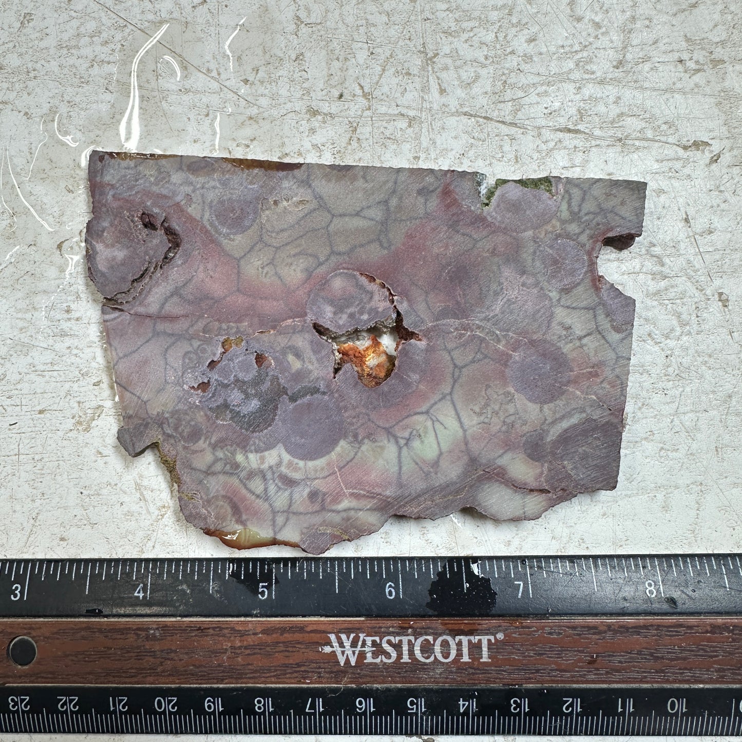 SPIDERWEB JASPER Slab - 99 grams