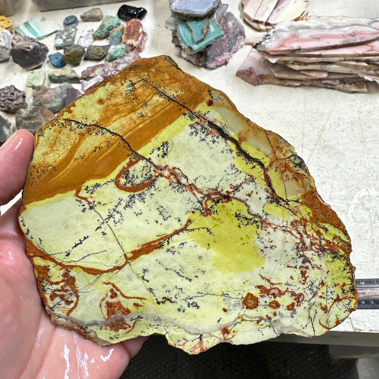 GREEN DREAM Slab - 263 grams