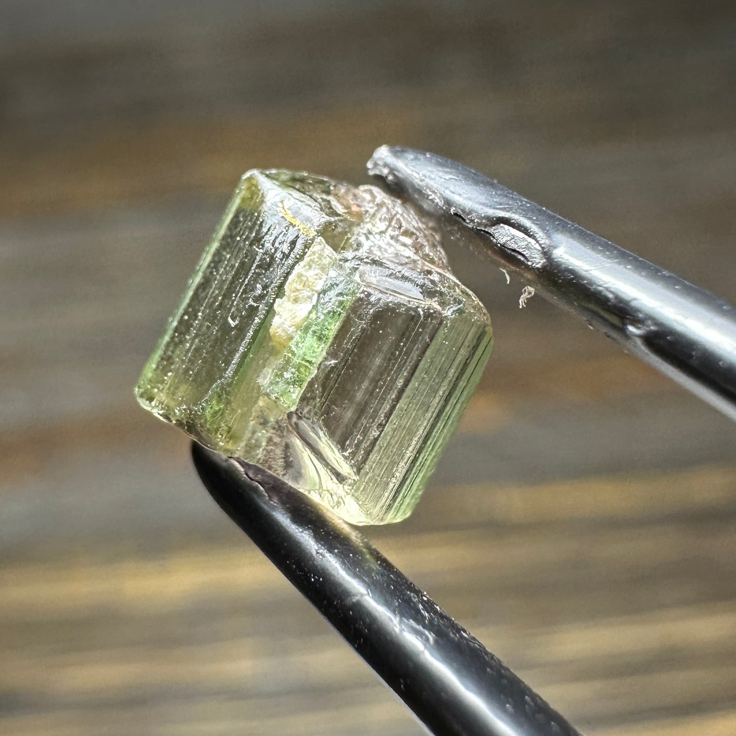 CONGO TOURMALINE 5pcs., 2.62g Facet Rough Parcel