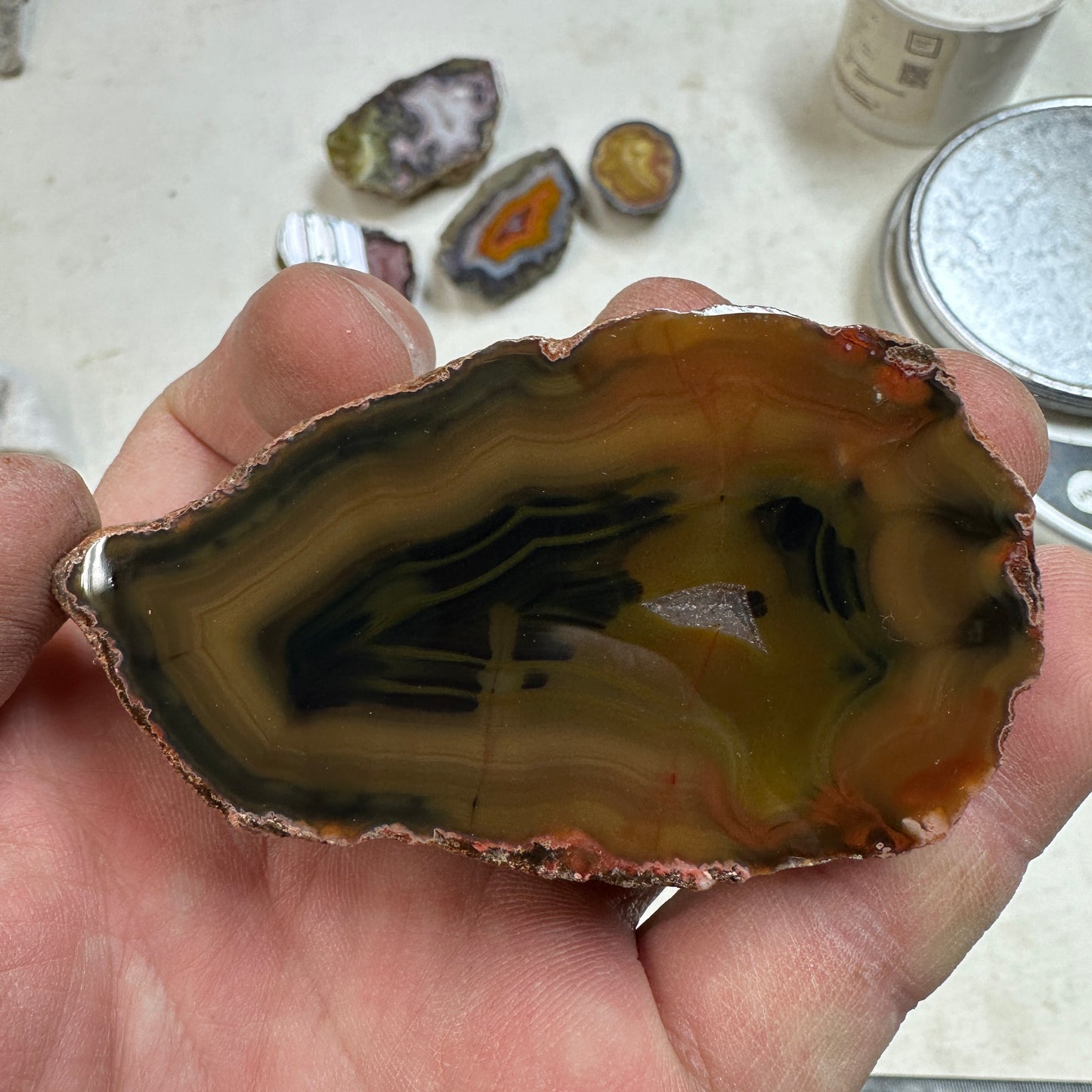 CONDOR AGATE Polished Specimen