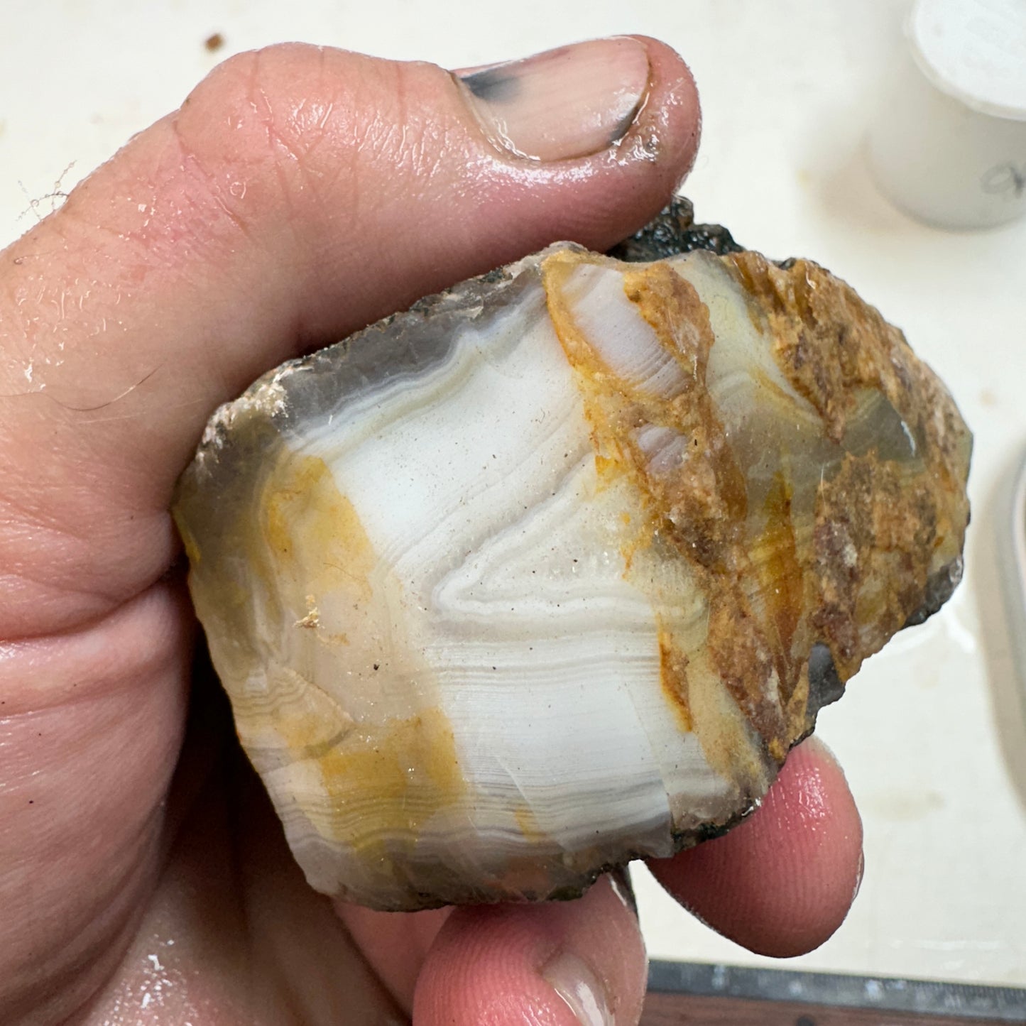 MOROCCAN AGATE Rough - 1.11 Pounds