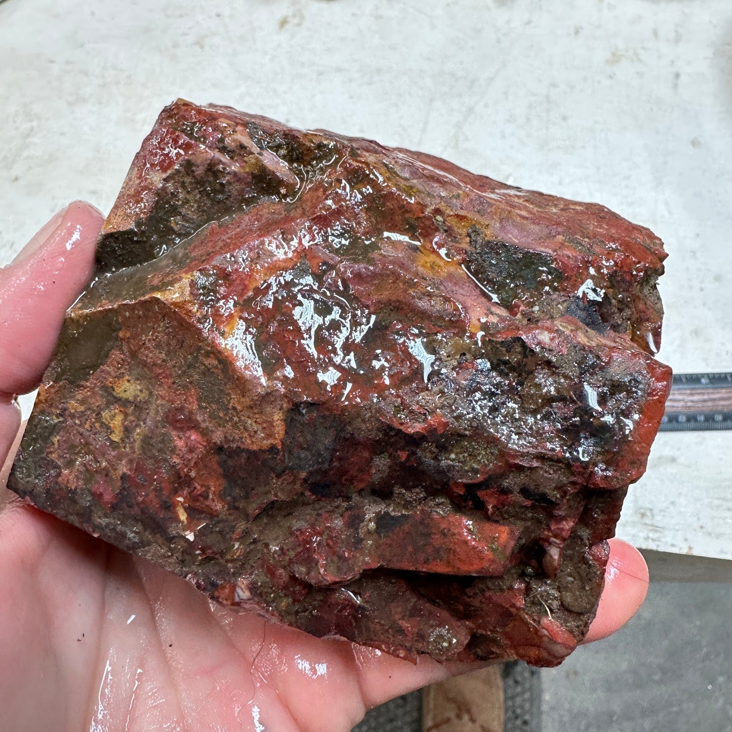 MESCALERO JASPER Faced Rough - 2.61 Pounds