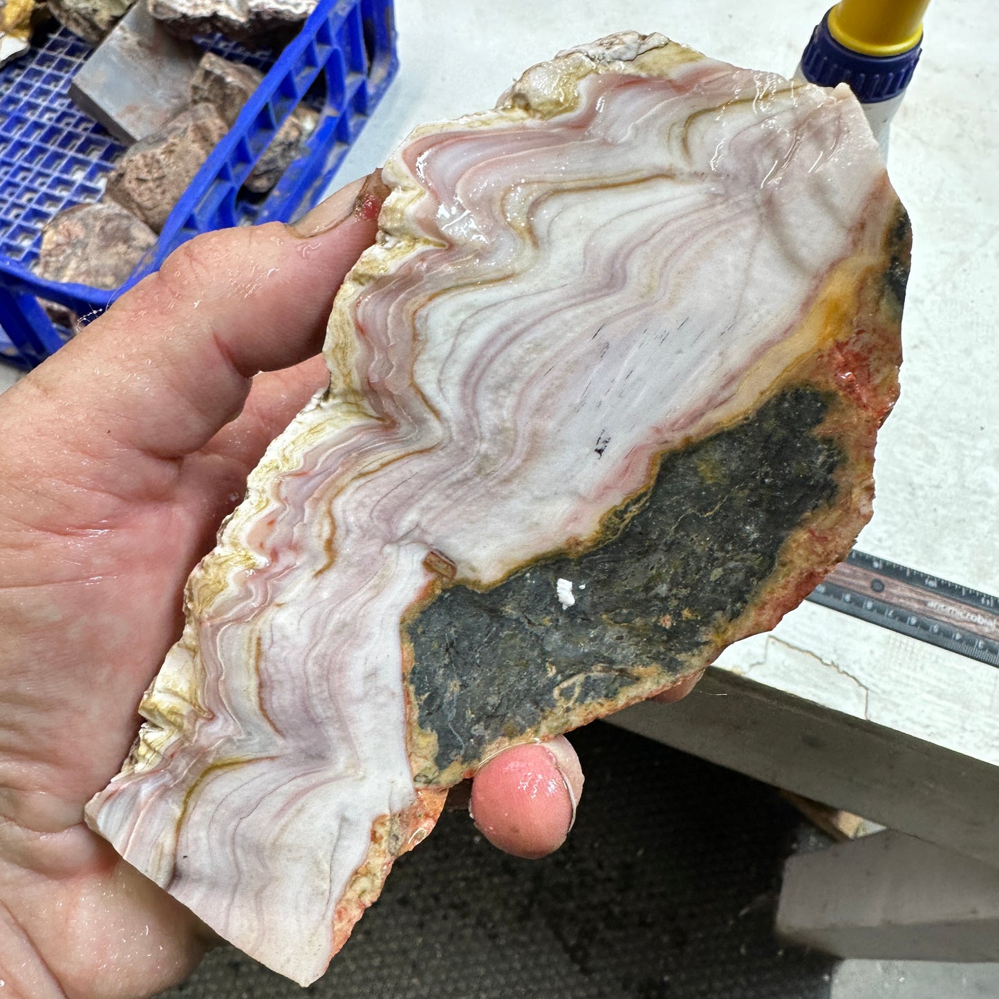 WINDY MOUNTAIN AGATE Rough - 1.91 Pounds