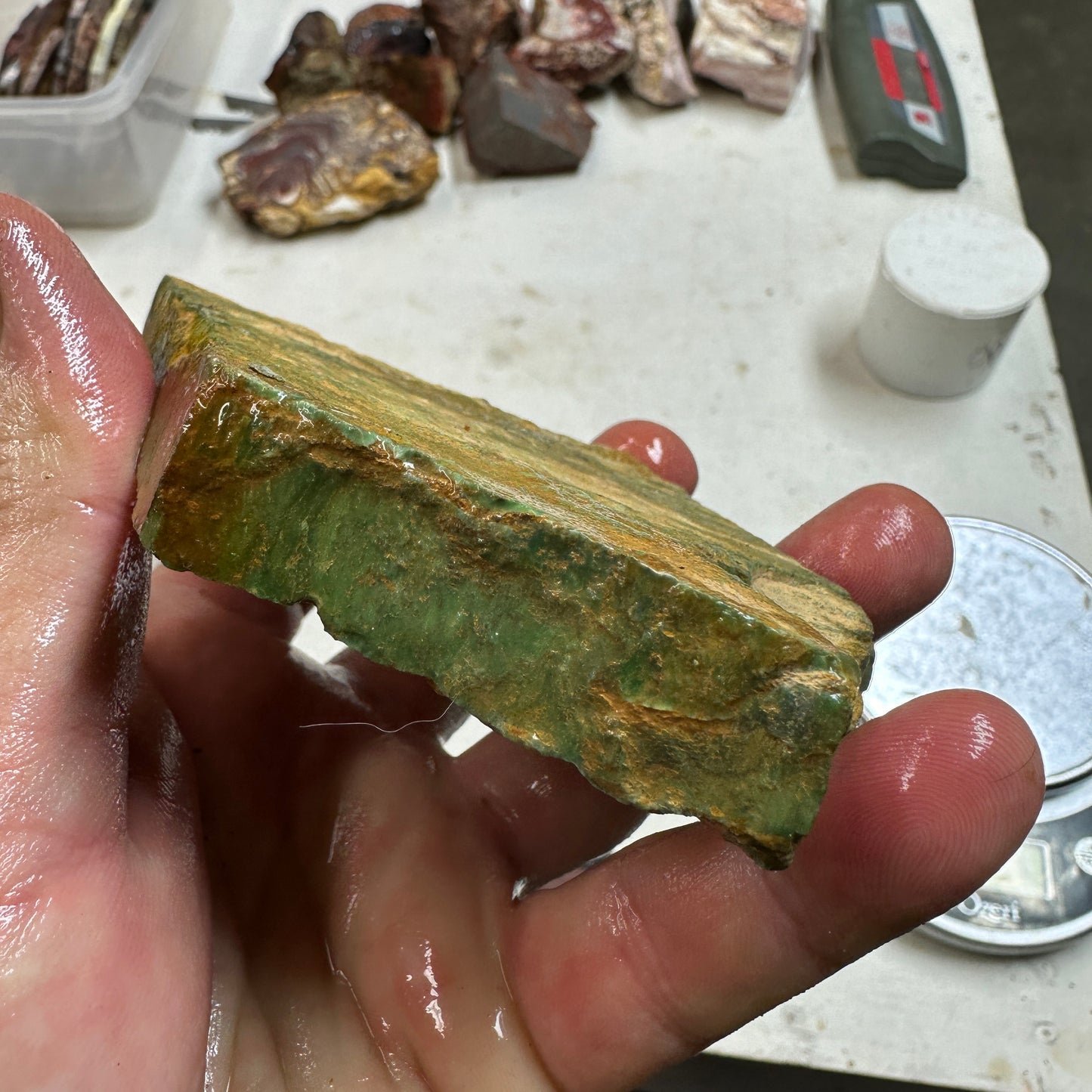 AUSTRALIAN VARISCITE Plate - 326 grams