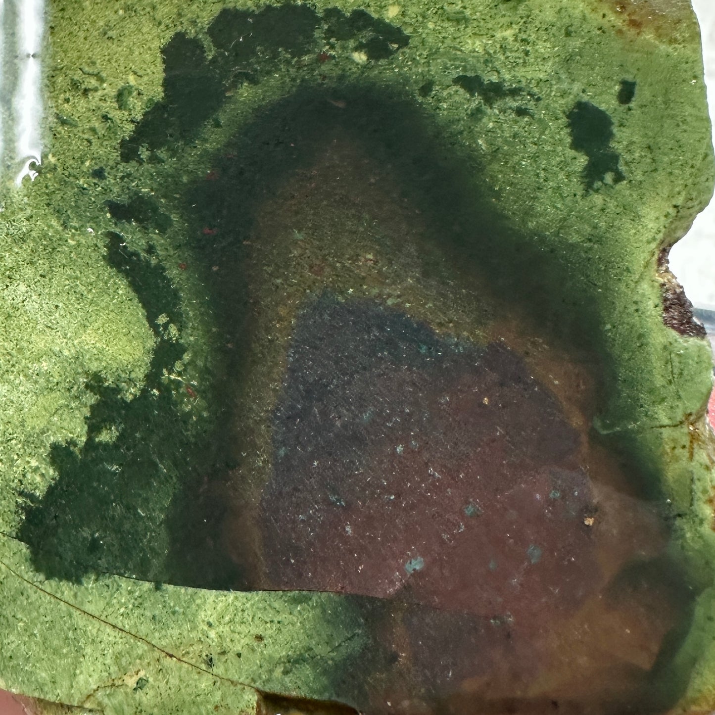 ECHO RIDGE JASPER Rough - 1.09 Pounds