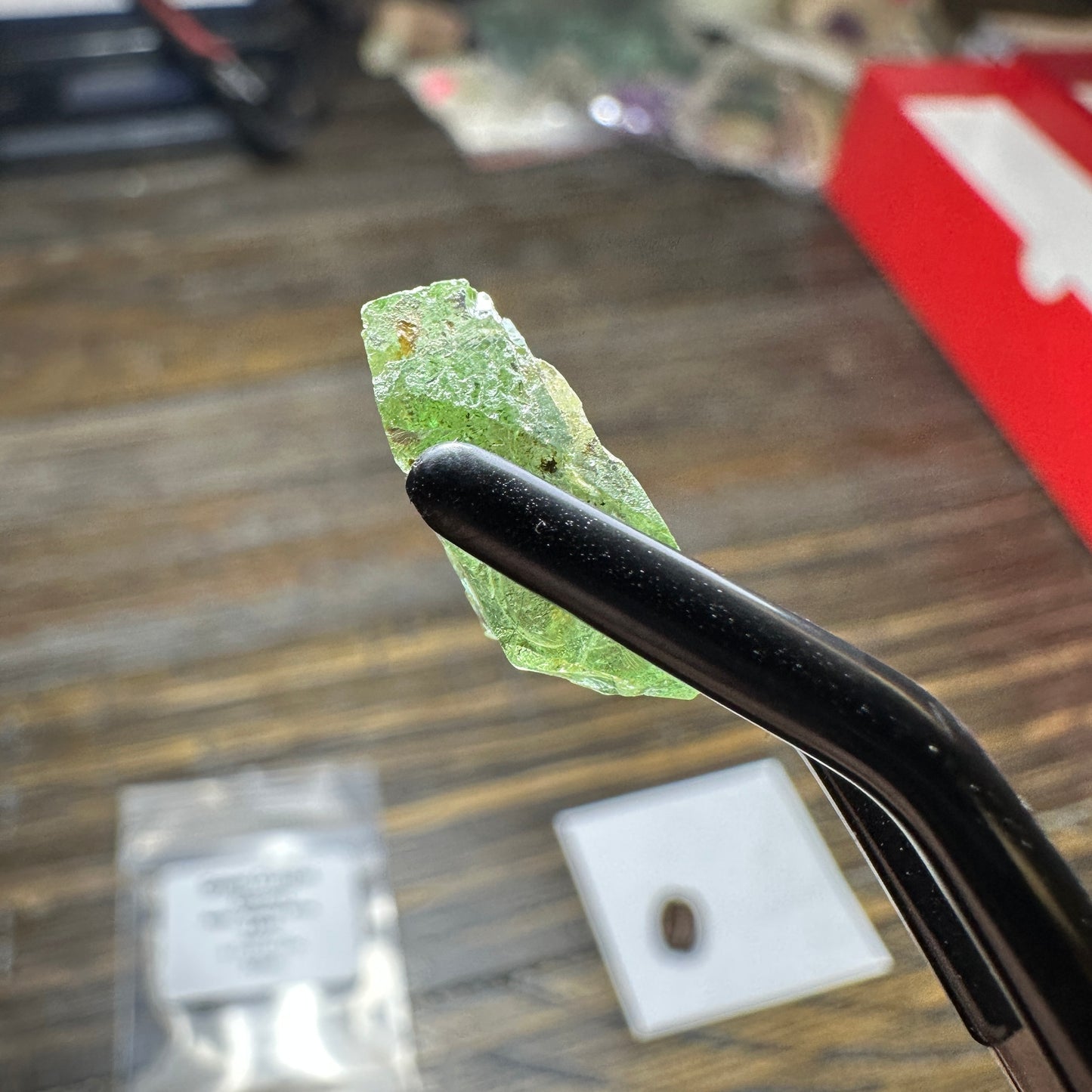 9.43ct GREEN DRAGON GARNET Facet Rough