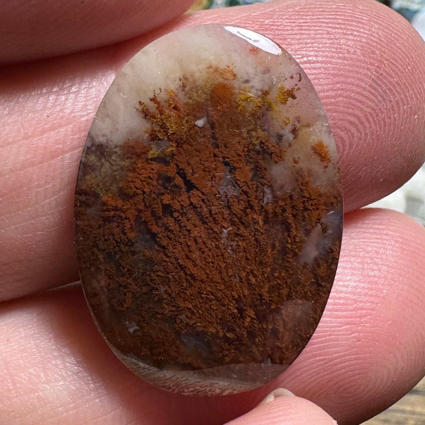 CAREY PLUME AGATE cabochon