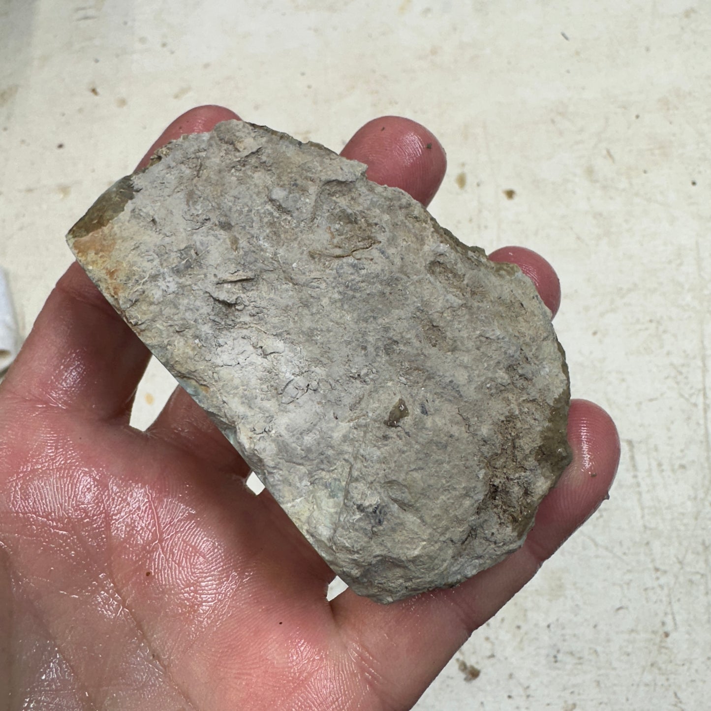 BROKEN ARROW VARISCITE Rough - 228 grams