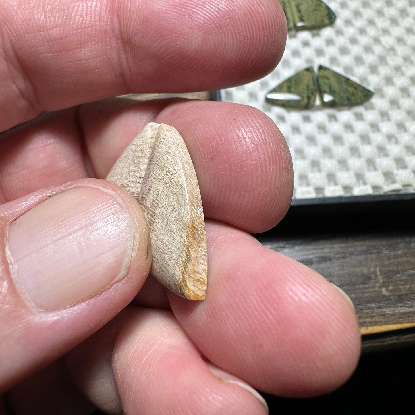 PETRIFIED WOOD cabochon pair