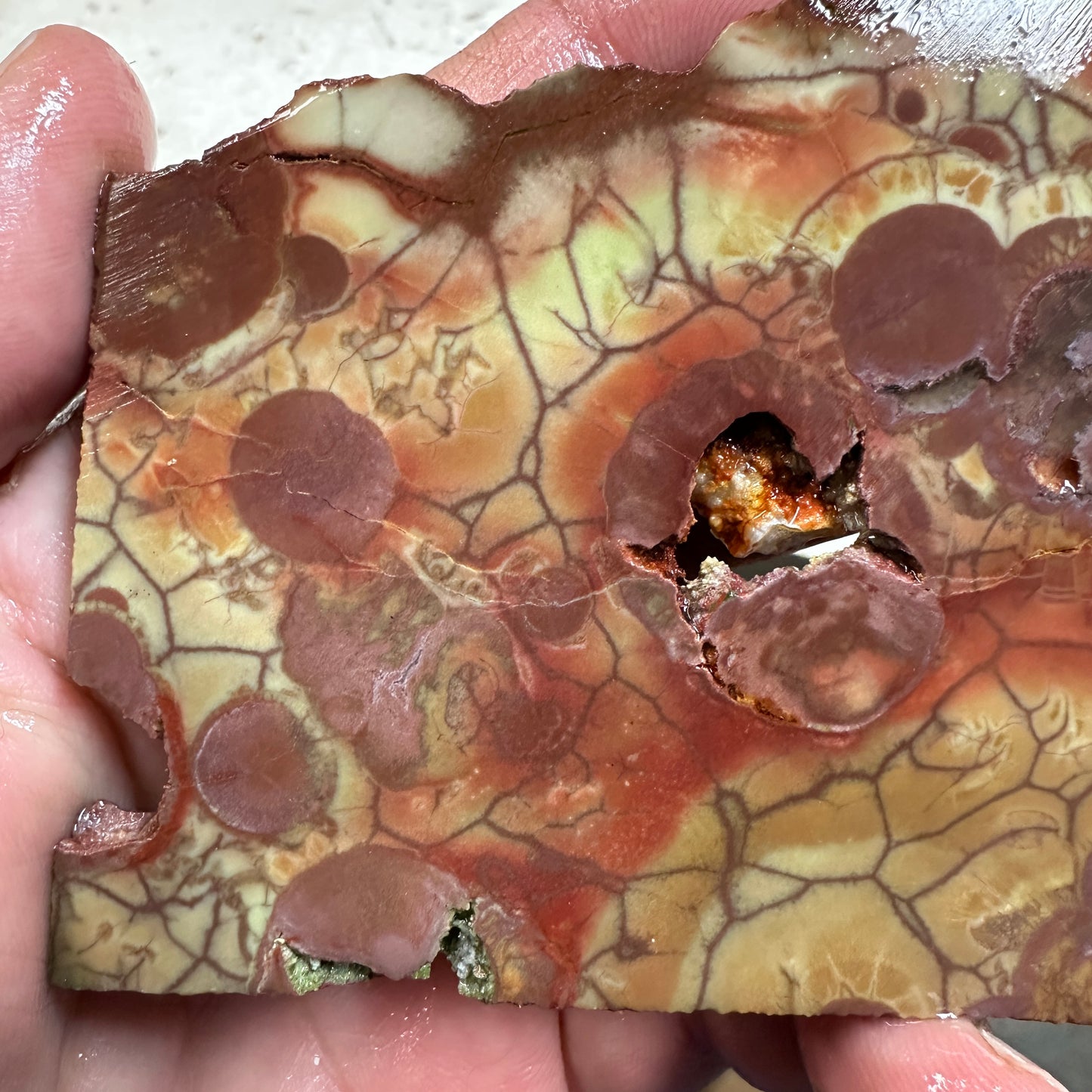 SPIDERWEB JASPER Slab - 99 grams