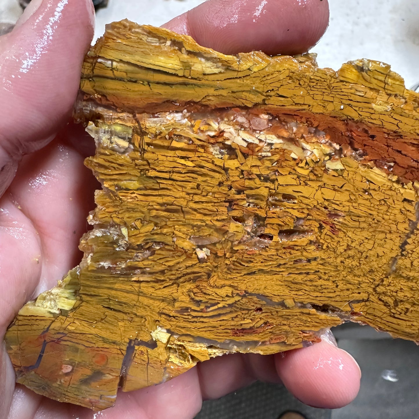 HOWARDITE Slab - 123 grams