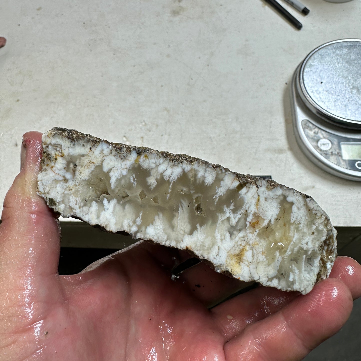 NEVADA POINT PLUME AGATE Rough - 1.27 Pounds