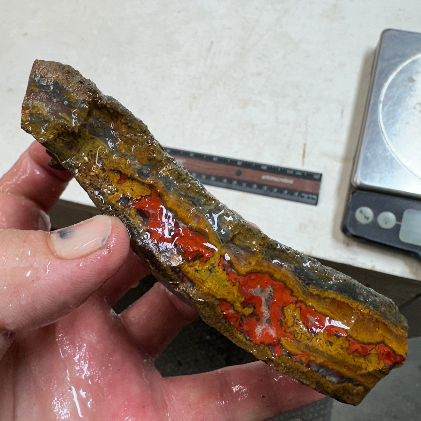 MOROCCAN SEAM AGATE Rough - 0.82 Pounds