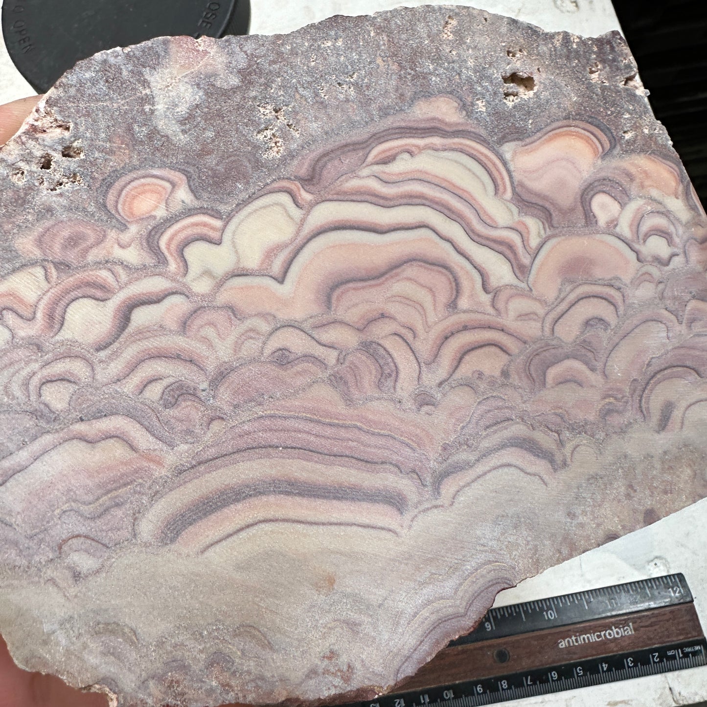 ROLLING HILLS DOLOMITE Slab - 313 grams