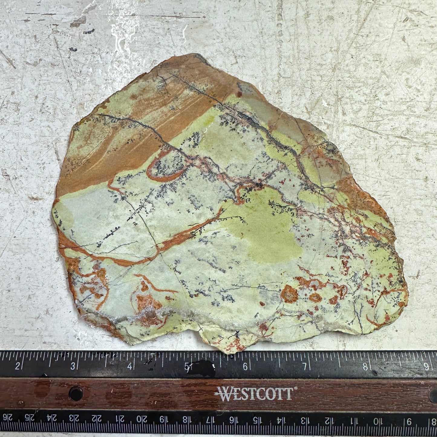 GREEN DREAM Slab - 263 grams