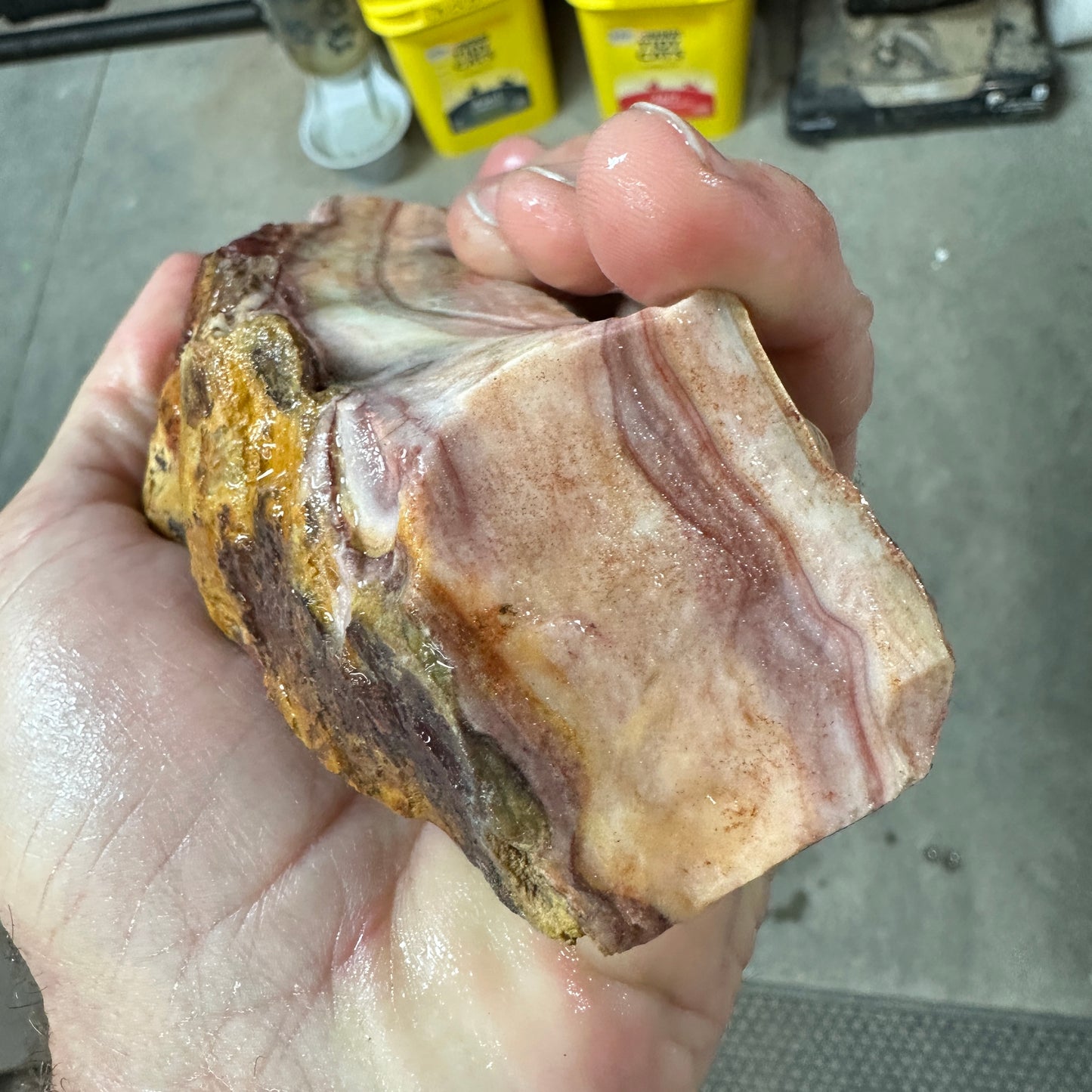 WINDY MOUNTAIN AGATE Faced Rough - 1.01 Pounds