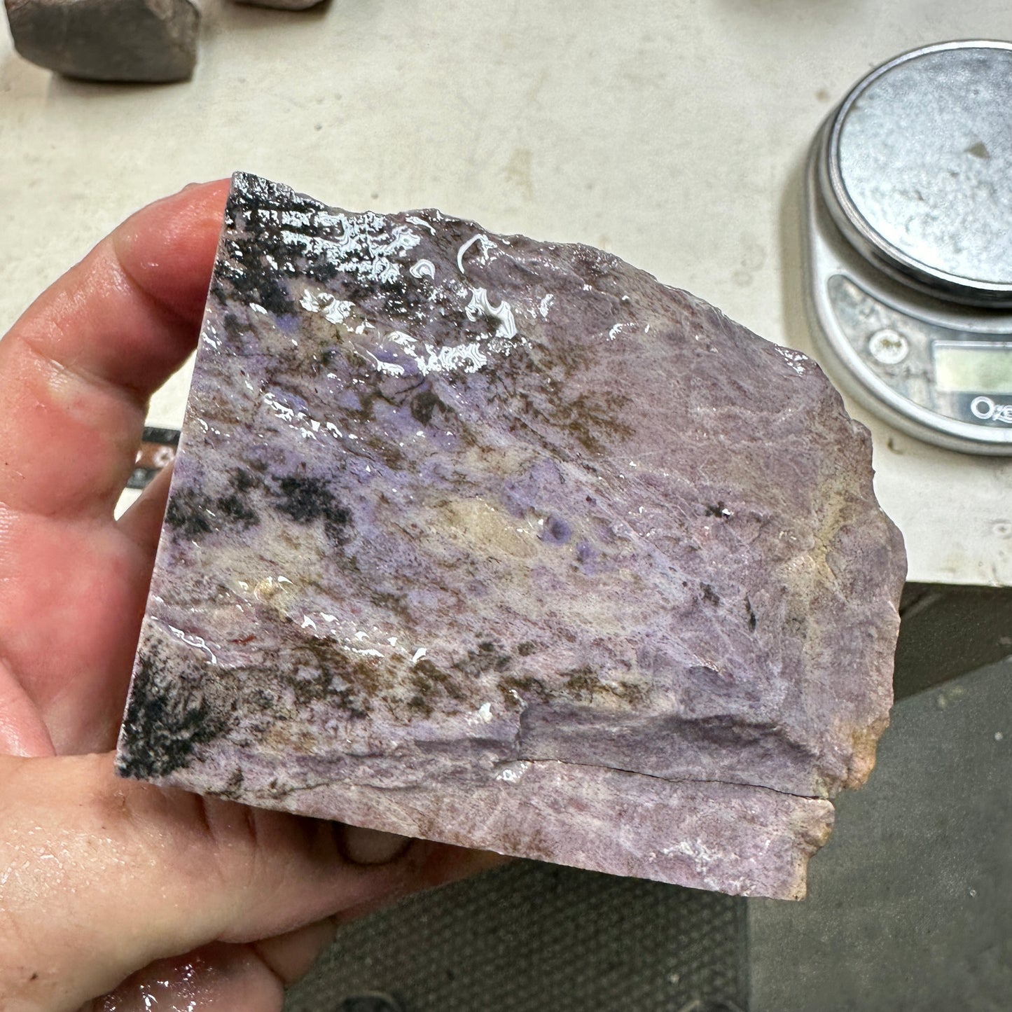 TURKISH PURPLE JADEITE Faced Rough - 1.65 Pounds